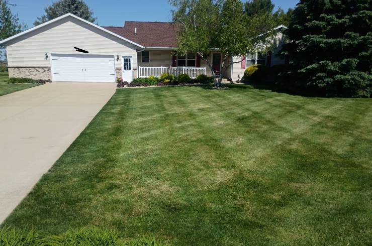 Wilson Lawn Care & Services